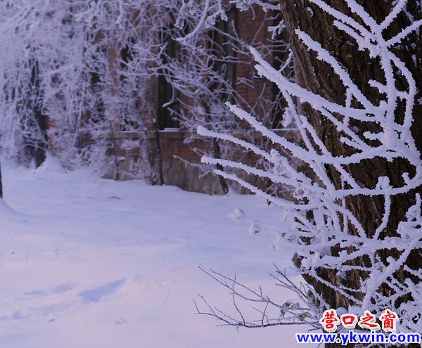 霧凇  10