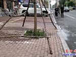 營口新華路：絆人的行道樹支撐架已縮回