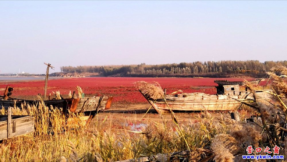 蓋洲遼寧團(tuán)山國(guó)家級(jí)海洋公園
