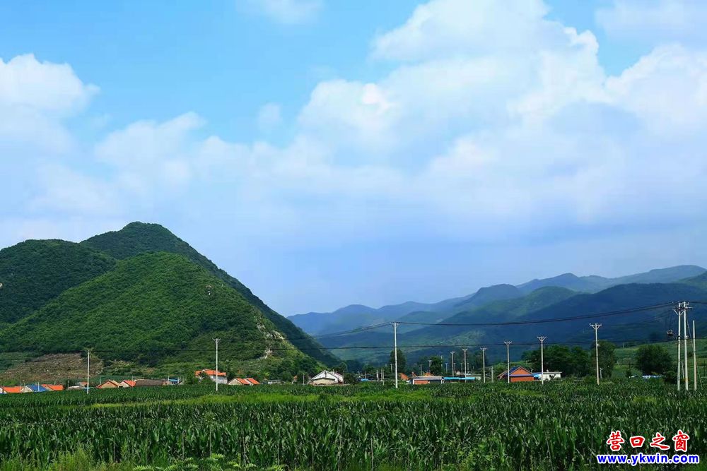 《鲅魚(yú)圈》