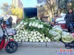 營(yíng)口市大菜市首日, 白菜蘿卜大蔥皆5毛