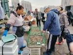 營口養(yǎng)殖對蝦售價每斤降低五元