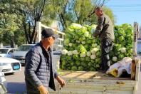 營口市大菜市：大白菜漲到7毛一斤了