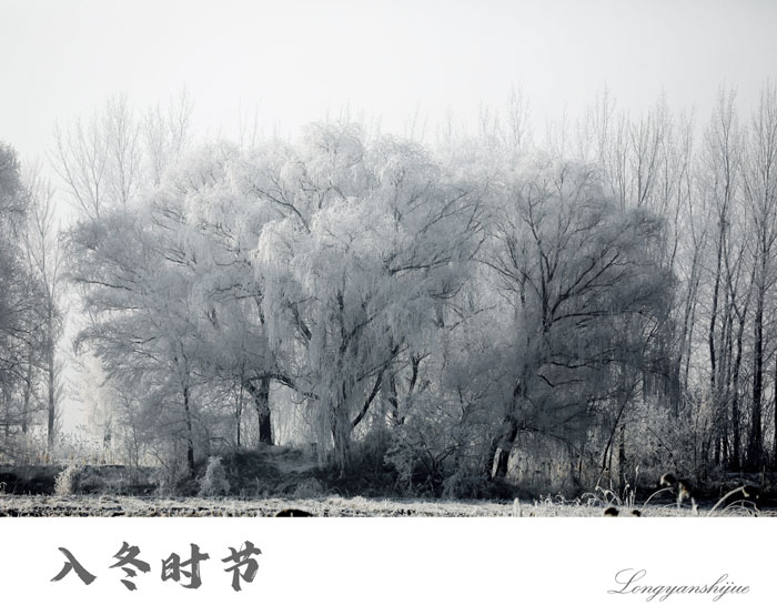 營(yíng)口：現(xiàn)霧凇奇觀(guān)