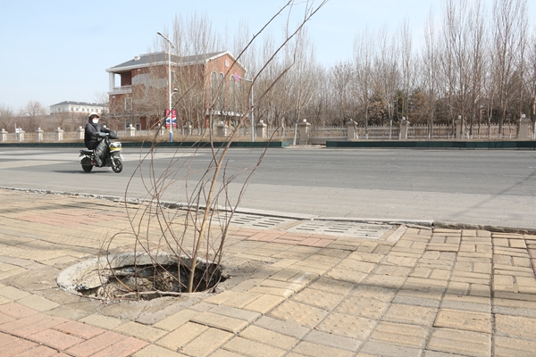 營口市西市區(qū)：迎賓館對過人行道驚現(xiàn)“黑洞”！